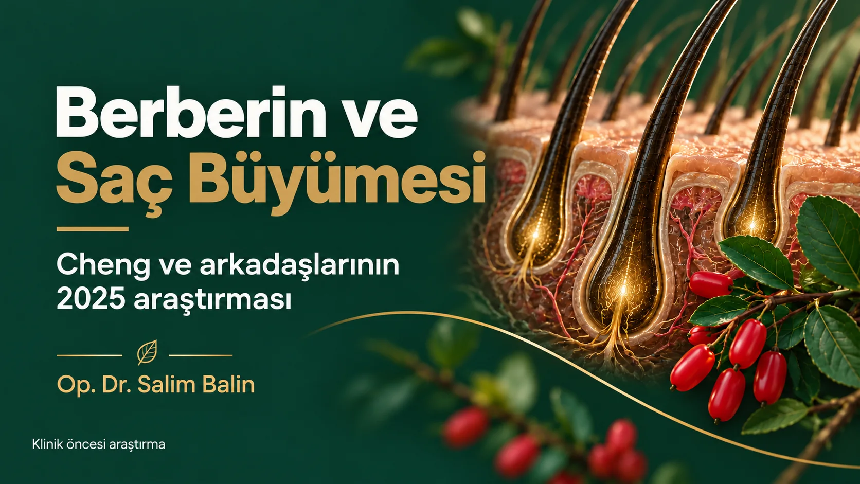 Berberin ve saç büyümesi: Cheng ve arkadaşlarının 2025 araştırması – saç folikülü ve kadın tuzluğu (Berberis) dalı, temsili görsel