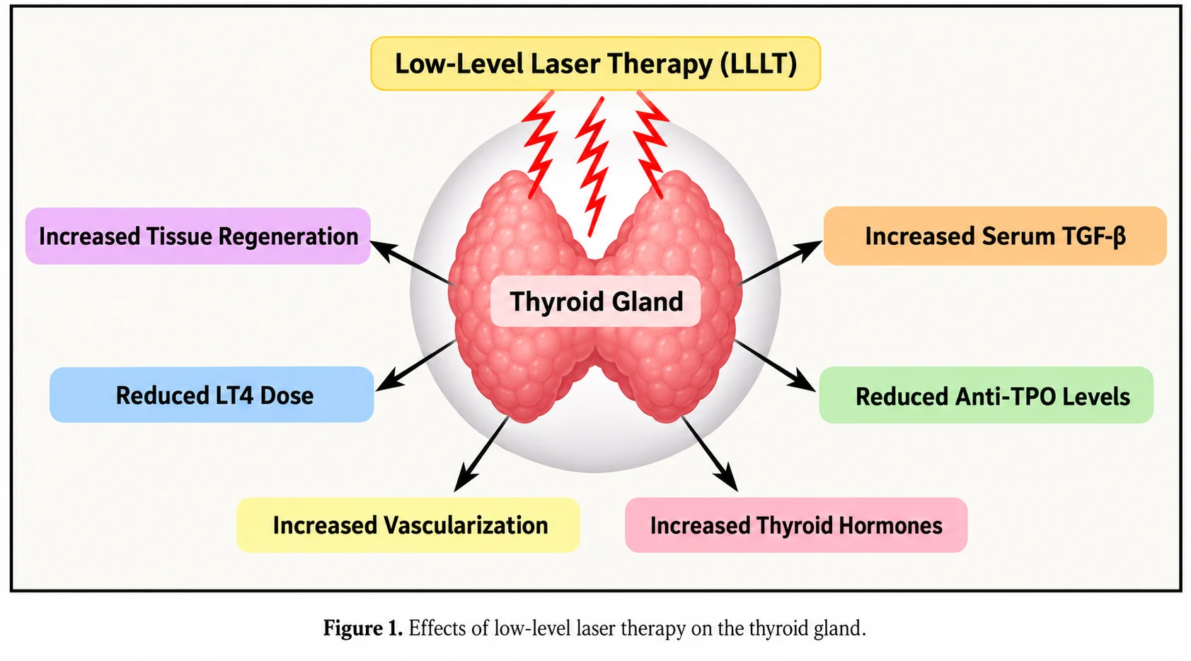 Effects of low-level laser therapy on the thyroid gland: increased tissue regeneration, reduced LT4 dose, increased vascularization, increased thyroid hormones, reduced anti-TPO levels, increased serum TGF-β – schematic illustration